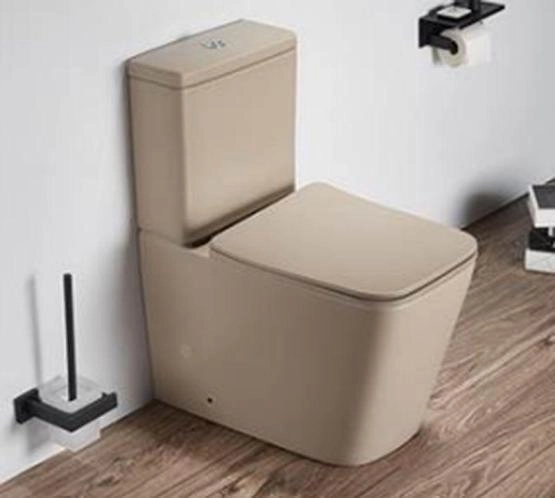 Унитаз Ceramalux 2170AXMC напольный безободковый с бачком ( GEBERIT ) сиденье микролифт капучино матовый