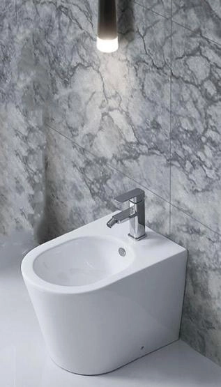 Биде Ceramalux NS-3378 напольное 560x360x410