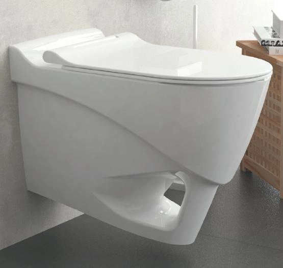 Унитаз Bien ORGANIC подвесной с сиденьем микролифт OGKA052N1VP0W3000