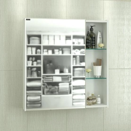 Универсальный зеркальный шкаф Санта  Дублин 70  л/пр