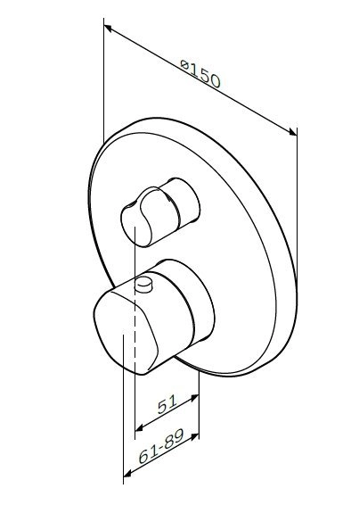Смеситель для душа Am.Pm Gem F9085500 с термостатом,хром
