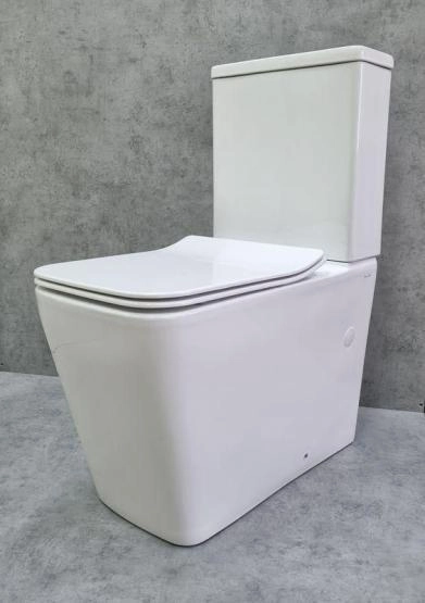 Унитаз Ceramalux 2170AXMW напольный безободковый с бачком ( GEBERIT ) сиденье микролифт белый матовый