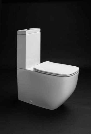 Унитаз AXA WHITE JAM 3301301 NoRim безободковый (чаша)