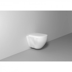 Унитаз Bien Dune безободковый подвесной с функцией биде, с сиденьем микролифт DNKA052N1VP1W3000