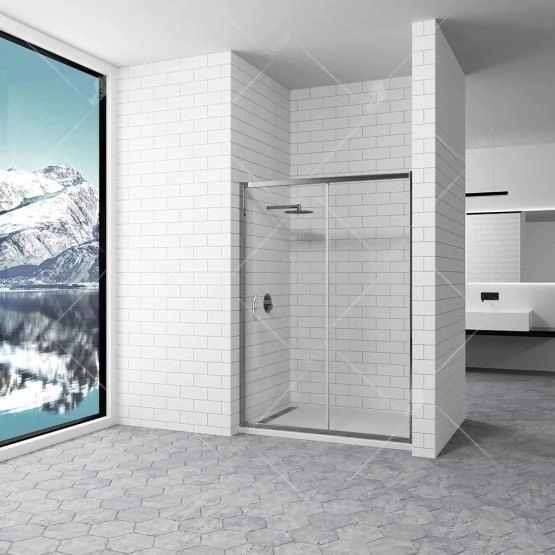 Душевая дверь в нишу RGW Passage PA-016 150 350801615-11