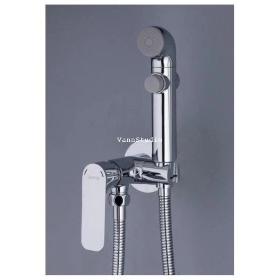 Гигиенический  душ Gappo G7248-1 встраиваемый, хром