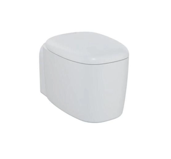 Унитаз VitrA Plural Rim-Ex 7830B401-0075 безободковый подвесной, Матовый Белый (сиденье отдельно)