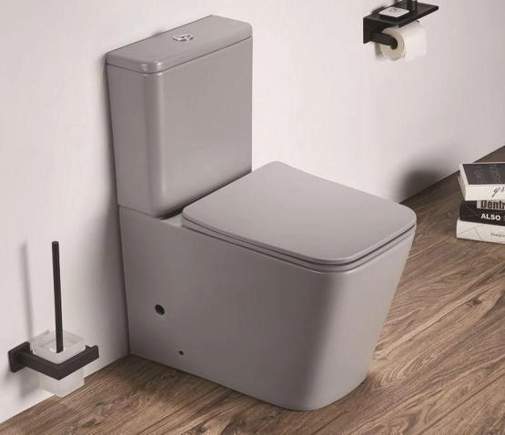 Унитаз Ceramalux 2170AXMH напольный безободковый с бачком ( GEBERIT ) сиденье микролифт светло серый матовый