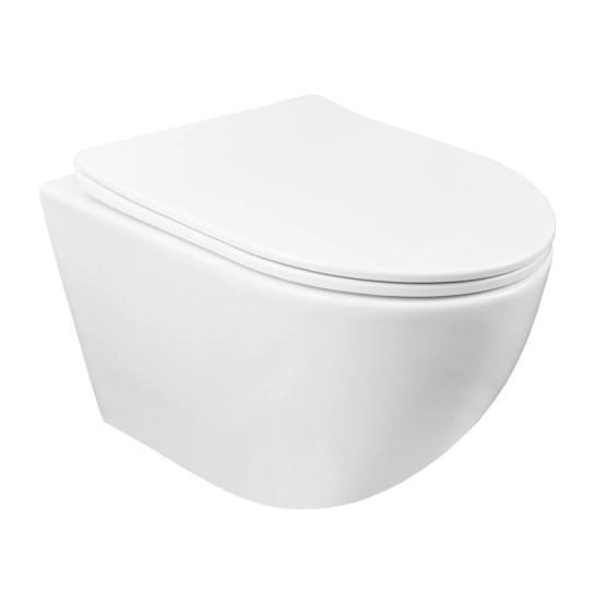 Унитазы Azario Унитаз подвесной безободковый Azario Grado AZ-0046 SP с крышкой микролифт