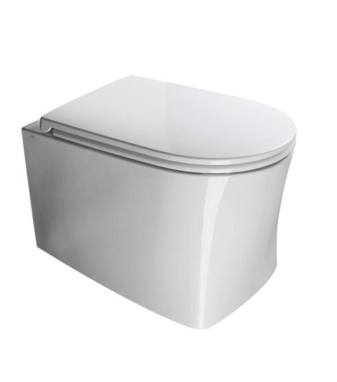 Унитаз подвесной AXA DP 8401001 NoRim безободковый