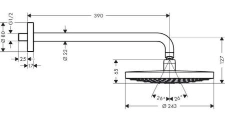 Hansgrohe Raindance Select 26466400 верхний душ цвет белый-хром