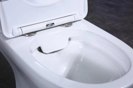 Унитаз Belbagno STEAM BB130CPR напольный безободковый (бачок/сиденье отдельно)