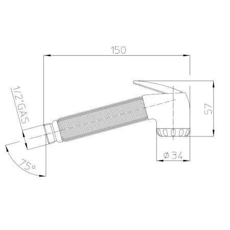 Лейка Bossini Nikita гигиеническая B00650.030 хром