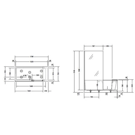 DURAVIT Shower + Bath Bathtub Ванна 170х75хh210.5см, прямоугольная с входной дверью и душевой шторкой ЗЕРКАЛЬНОЙ, SX - левосторонняя, цвет: белый