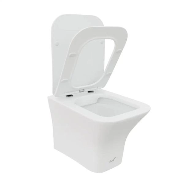 Унитаз Cerutti SPA VETTORE Aria MW подвесной безободковый белый матовый CT9242 (480х340х350)