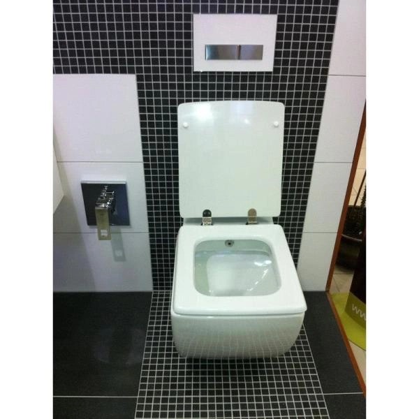 Унитаз CREAVIT Trend подвесной с биде TP324-00CB00E-0000 (сиденье отдельно)