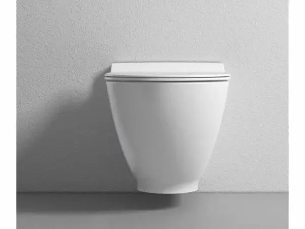 Унитаз Bien HARMONY подвесной безободковый с функцией биде сиденье микролифт HRKA052N2VP1W5000