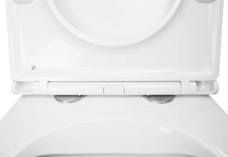 Унитаз приставной Azario Teramo 580х360х430 быстросъемное сиденье с микролифтом (AZ-1003DNR)