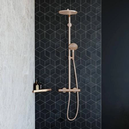 Hansgrohe AddStoris Угловая корзинка, цвет: шлифованная бронза
