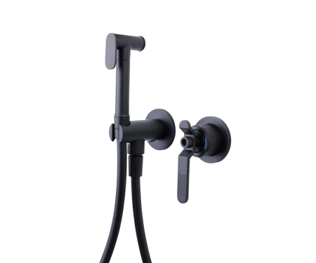 Гигиенический душ встраиваемый со смесителем 1760 ЛОФТ 3253SB черный
