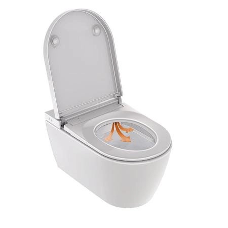 Duravit Starck F Plus Унитаз подвесной, безободковый, с сиденьем Sensowash, с покрытием Hygieneglaze, цвет: белый