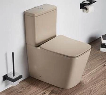 Унитаз Ceramalux 2170AXMC напольный безободковый с бачком ( GEBERIT ) сиденье микролифт капучино матовый