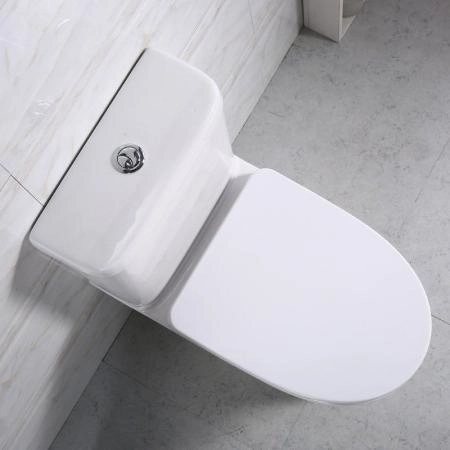 Унитаз Belbagno STEAM BB130CPR напольный безободковый (бачок/сиденье отдельно)