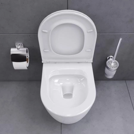 Унитаз подвесной безободковый Damixa Sirius DX86C1700SC с сиденьем микролифт белый