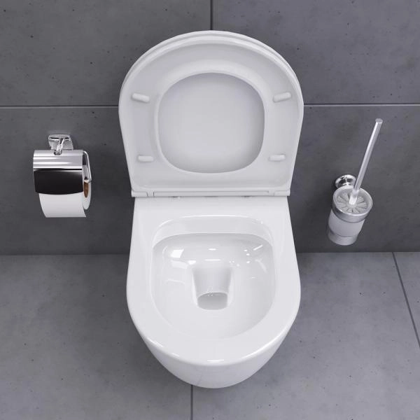 Унитаз подвесной безободковый Damixa Sirius DX86C1700SC с сиденьем микролифт белый