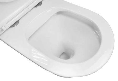Унитаз приставной Azario Teramo 580х360х430 быстросъемное сиденье с микролифтом (AZ-1003DNR)