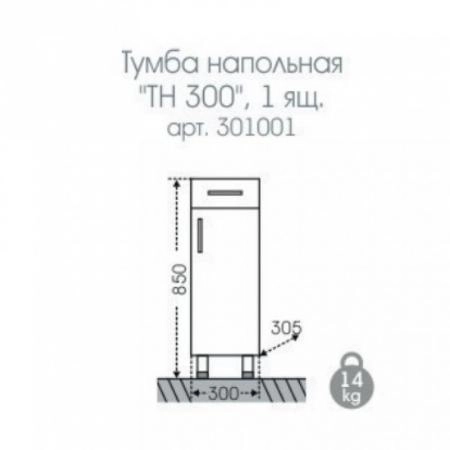 Тумба СаНта Стандарт 30 301001 напольная