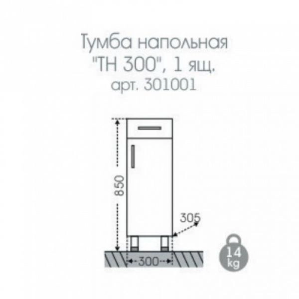 Тумба СаНта Стандарт 30 301001 напольная