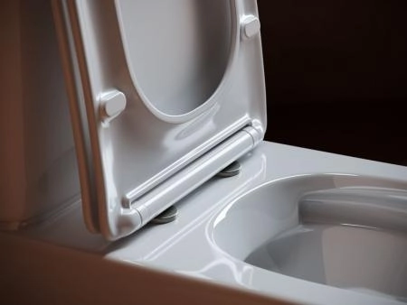 Напольный  унитаз с бачком Alfa Rimless