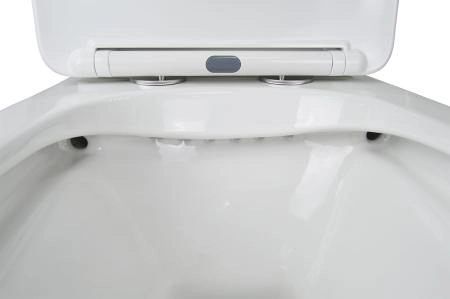 Унитаз напольный Azario LEVANTO 620x380x830 безободковый  и сиденье микролифт (AZ-1228A)