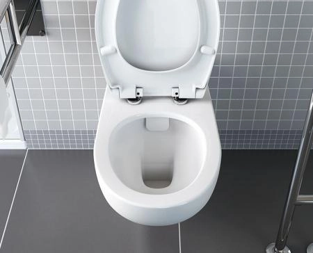 Унитаз для людей с ограниченными возможностями VitrA Conforma 5810B003-6234 подвесной безободковый