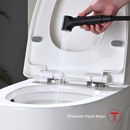 Гигиенический душ RAGLO R03.51.06, со смесителем, черный