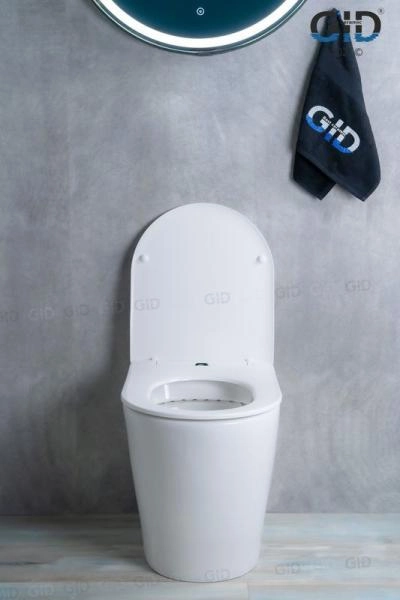 Унитаз Gid TRS-263 53 см приставной безободковый микролифт белый