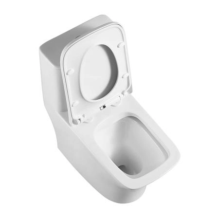 Инсталляции Azario Унитаз-моноблок безободковый Azario Teano AZ-8621 с крышкой микролифт