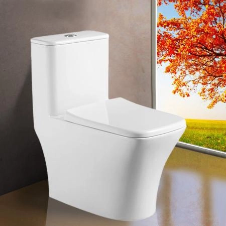 Инсталляции Azario Унитаз-моноблок безободковый Azario Teano AZ-8621 с крышкой микролифт