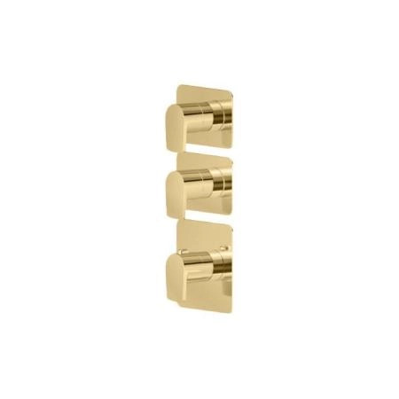 Newform Haka Смеситель для душа, термостатический, на 2 источника, цвет: PVD brushed gold