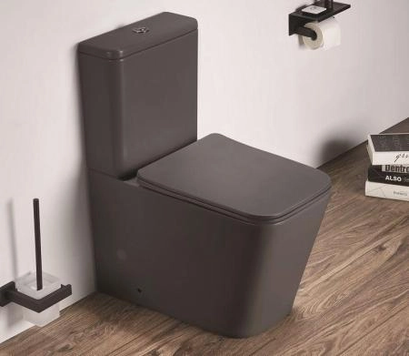 Унитаз Ceramalux 2170AXMDH напольный безободковый с бачком ( GEBERIT ) сиденье микролифт серый матовый