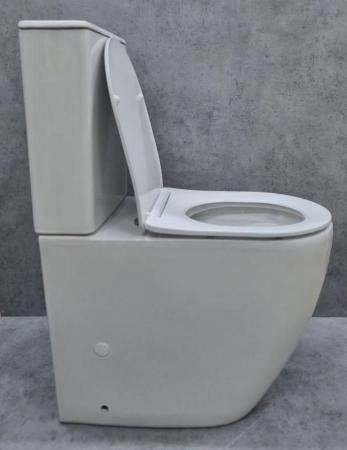 Унитаз Ceramalux 1289A напольный безбодковый с бачком ( GEBERIT ) сиденье микролифт, белый