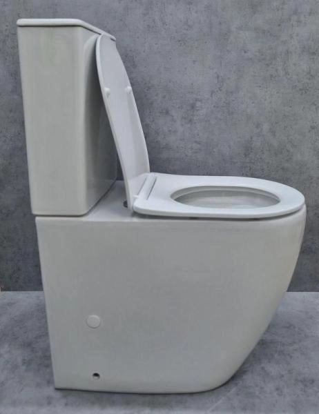 Унитаз Ceramalux 1289A напольный безбодковый с бачком ( GEBERIT ) сиденье микролифт, белый