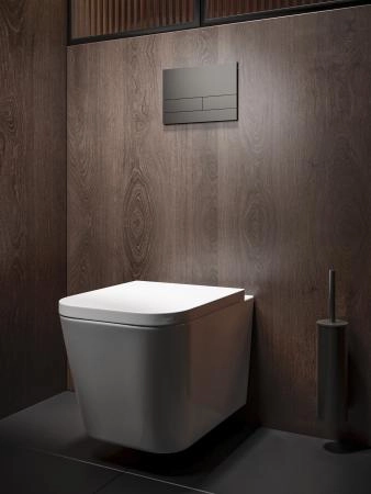 Кнопка смыва KNOTLOR DUET BIS109GM, вороненая сталь  (серия 1)