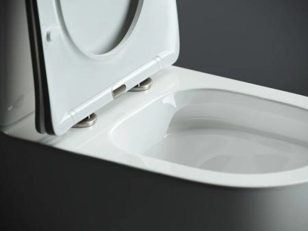 Напольный пристенный унитаз Mia Rimless