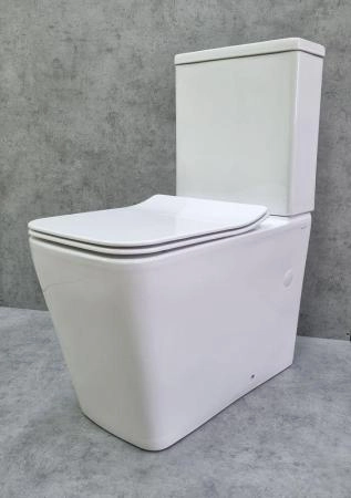 Унитаз Ceramalux 2170AXMW напольный безободковый с бачком ( GEBERIT ) сиденье микролифт белый матовый