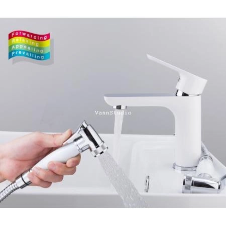 Смеситель Gappo G1048-1 для раковины с гигиен/душем, хром