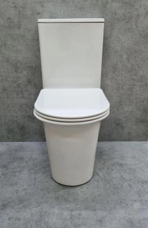 Унитаз Ceramalux 1223A напольный безбодковый с бачком ( GEBERIT ) сиденье микролифт, белый