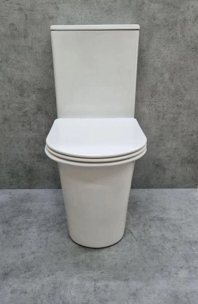 Унитаз Ceramalux 1223A напольный безбодковый с бачком ( GEBERIT ) сиденье микролифт, белый