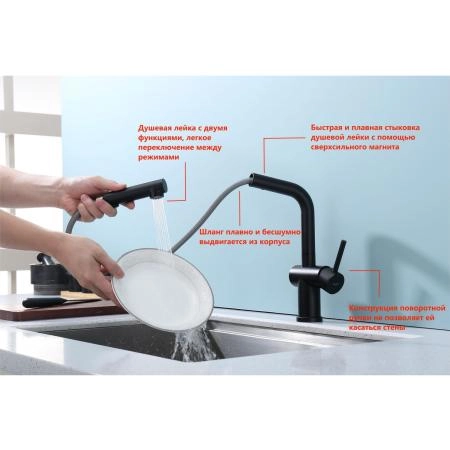 Смеситель RAGLO R86.49.06, с выдвижным изливом, черный